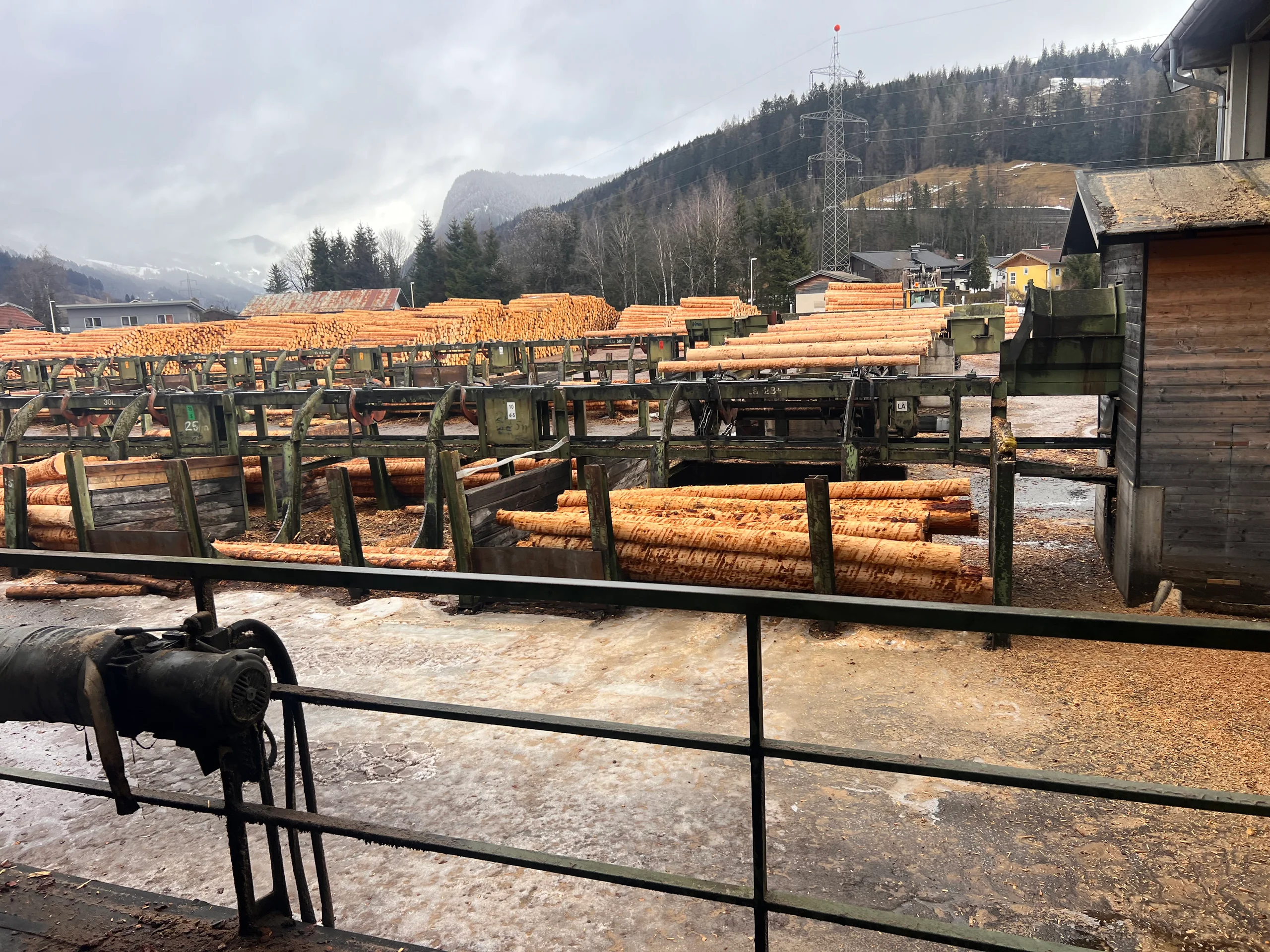 Rundholz Sortieranlage mit Entrindung - Bild 12