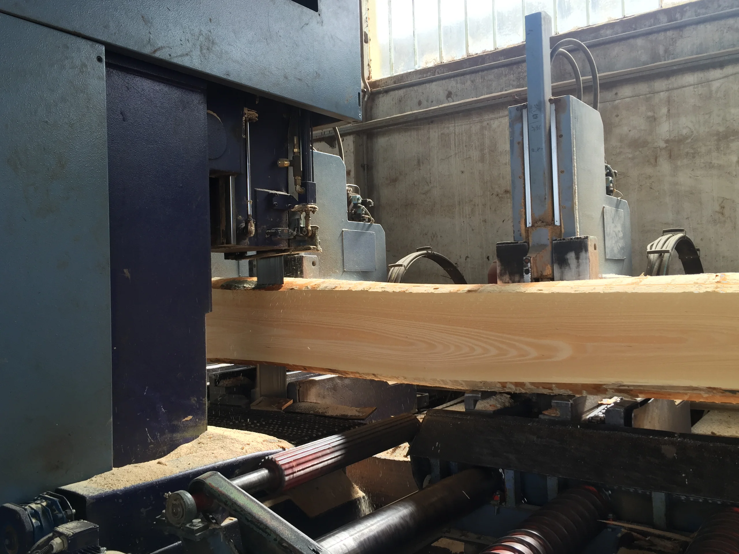 Bandsäge PRIMULTINI